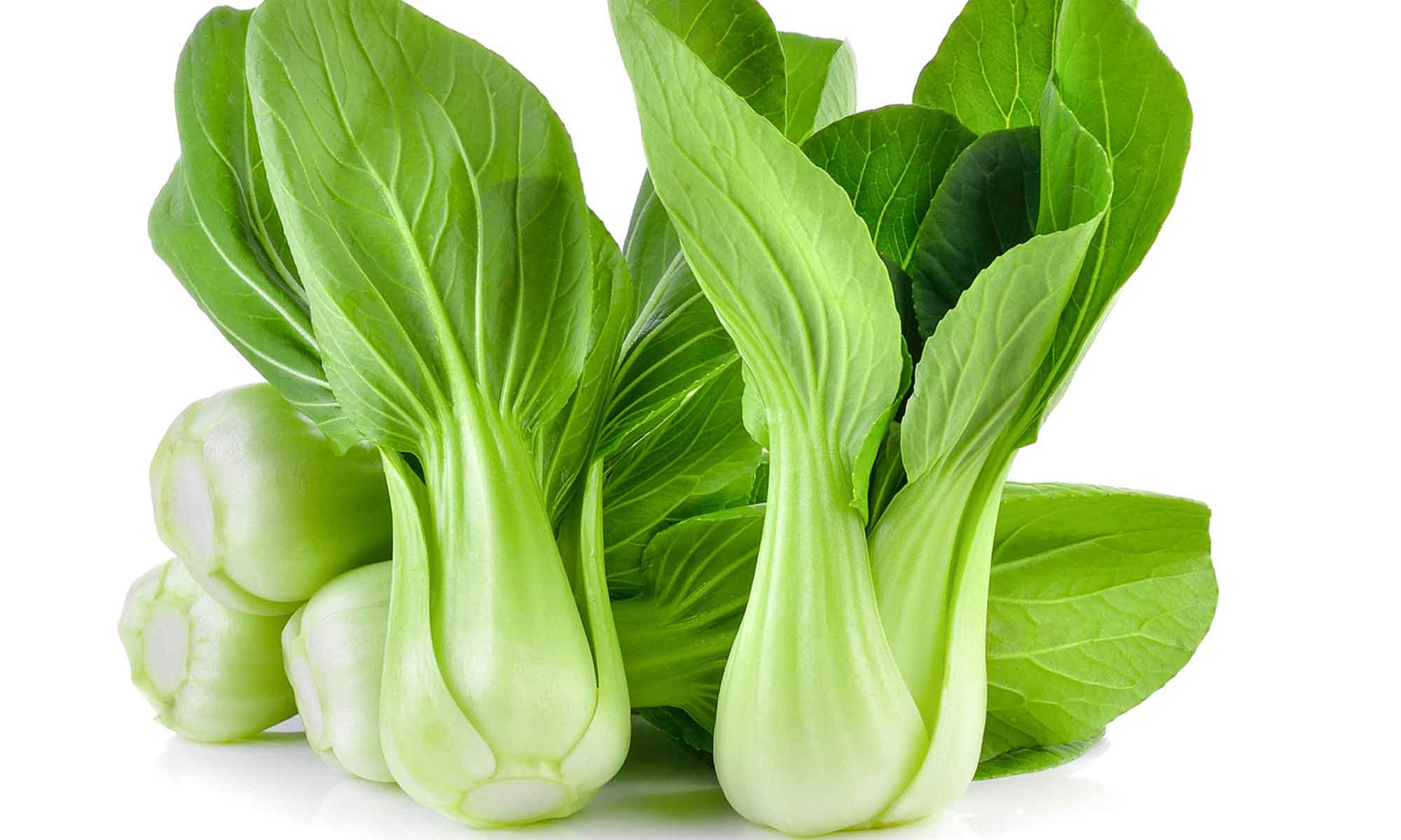 Bok Choy