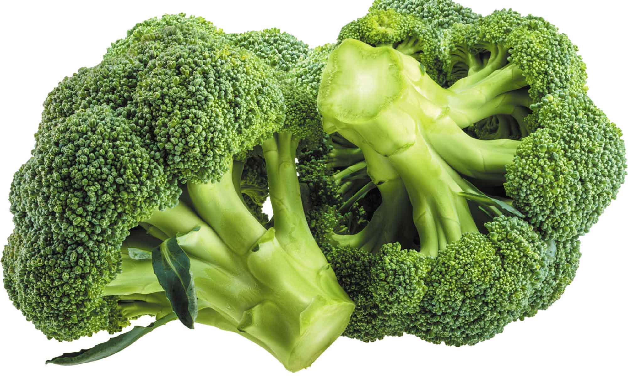 Broccoli