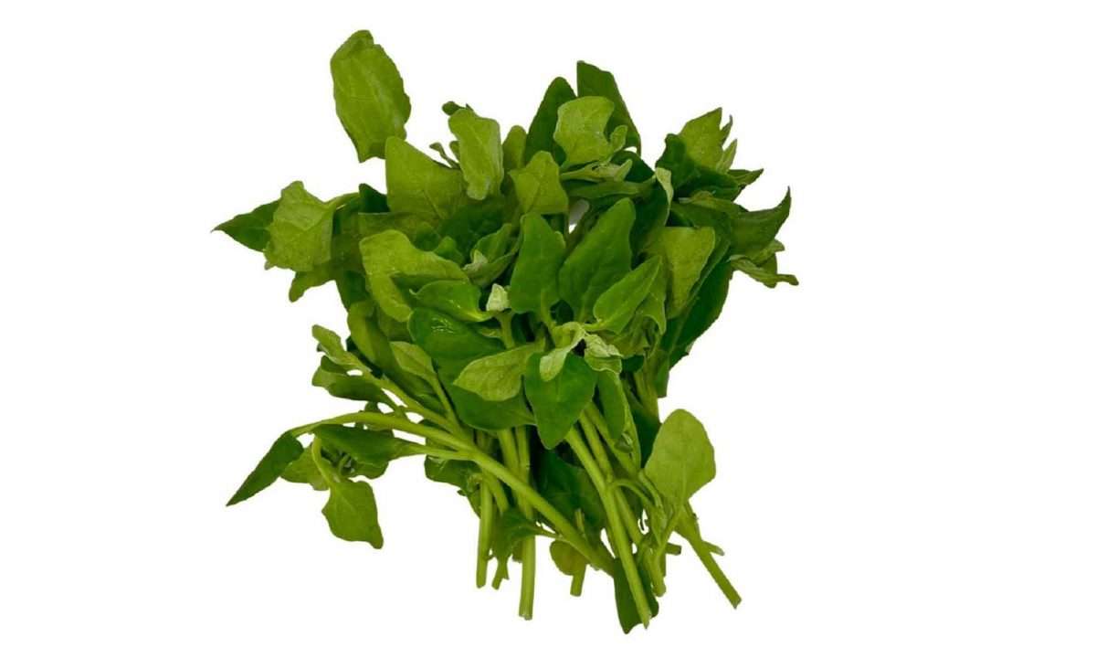 Spinach – Popeye’s food